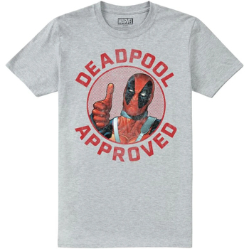 Vêtements Homme T-shirts manches longues Deadpool Approved Gris