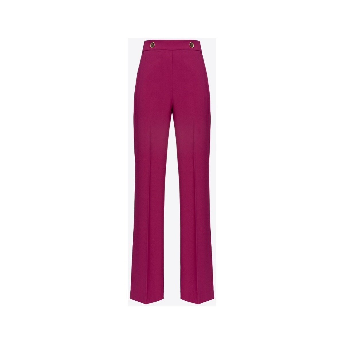 Vêtements Femme Pantalons Pinko 100055A14I Violet