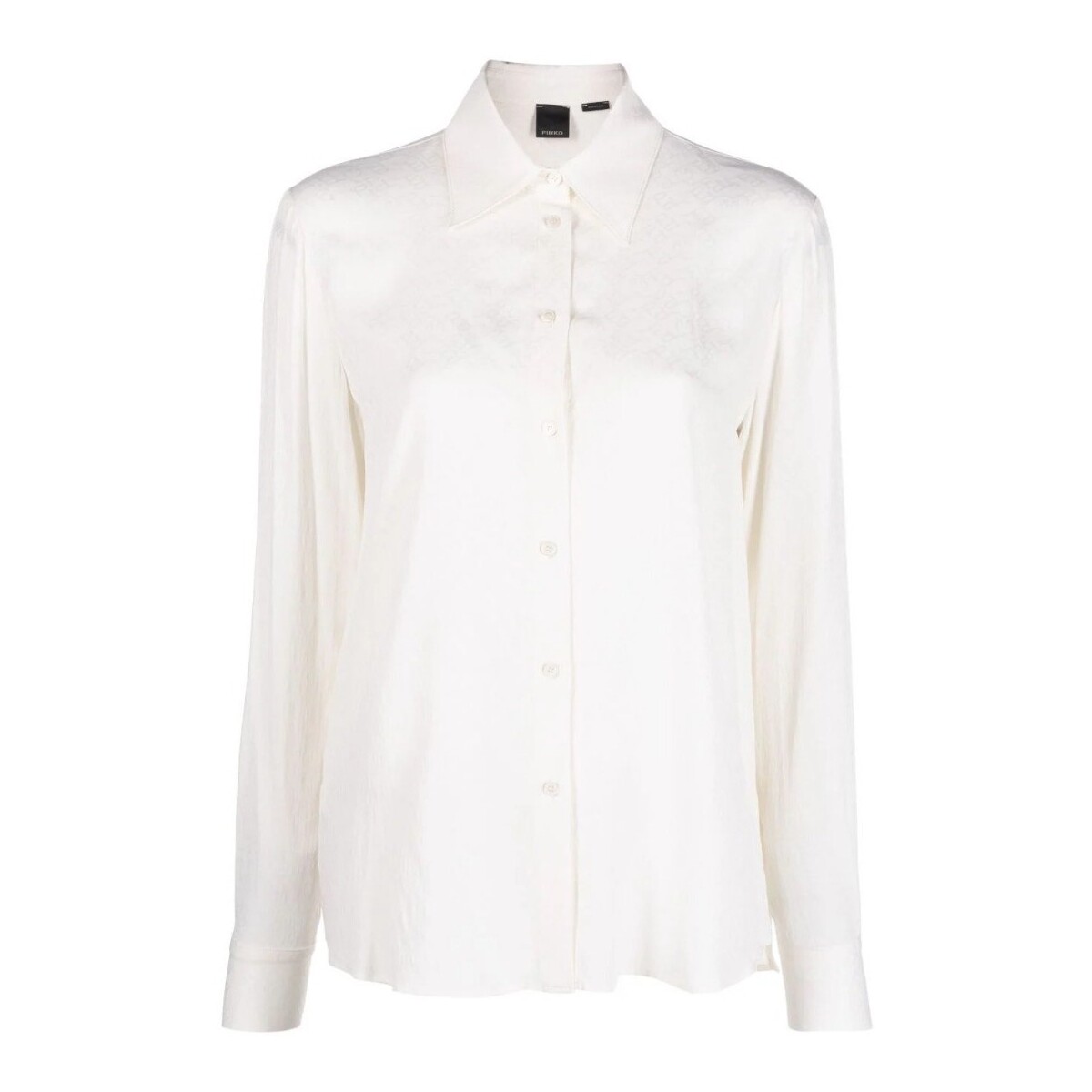 Vêtements Femme Chemises / Chemisiers Pinko 100121A01P Blanc