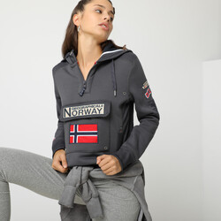 Vêtements Femme Sweats Geographical Norway GYMCLASS sweat pour femme Gris