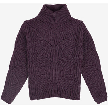 Vêtements Femme Pulls Oxbow Pull mohair P2PALLY Violet