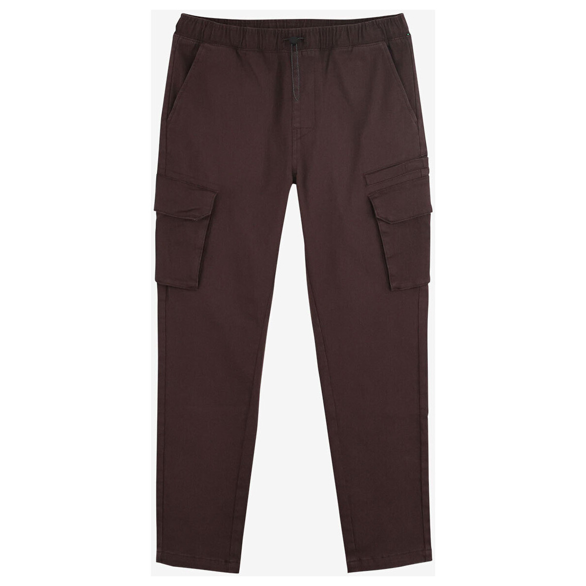 Vêtements Homme Pantalons Oxbow Pantalon cargo stretch hiver P2RYNGO Marron