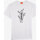 Vêtements Homme T-shirts manches courtes Oxbow Tee-shirt manches courtes imprimé P2TARIZOL Blanc