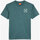 Vêtements Homme T-shirts manches courtes Oxbow Tee-shirt manches courtes imprimé P2TEROZ Vert