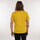Vêtements Homme T-shirts manches courtes Oxbow Tee-shirt manches courtes imprimé P2TORVID Jaune
