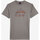 Vêtements Homme T-shirts manches courtes Oxbow Tee-shirt manches courtes imprimé P2TINUDA Gris
