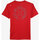 Vêtements Homme T-shirts manches courtes Oxbow Tee-shirt manches courtes imprimé P2TILDIN Rouge
