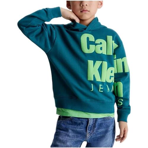 Vêtements Garçon Sweats Calvin Klein COLLAR orange  Vert