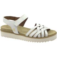 Chaussures Femme Sandales et Nu-pieds Benvado BEN-RRR-36010001-BI Blanc