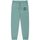 Vêtements Pantalons Franklin & Marshall JM1003.2000P01.SS-123 SAGE GRREN Vert