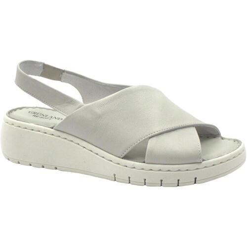 Chaussures Femme Sandales et Nu-pieds Grunland GRU-RRR-SA3107-GI Blanc