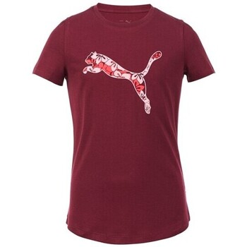 Vêtements Fille T-shirts manches courtes Puma TEE SHIRT ESS+ GRAPHIC - DARK JASPER - 164 Multicolore