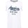 Vêtements Garçon T-shirts manches courtes American College TEE-SHIRT JUNIOR - WHITE - 10 ans Blanc