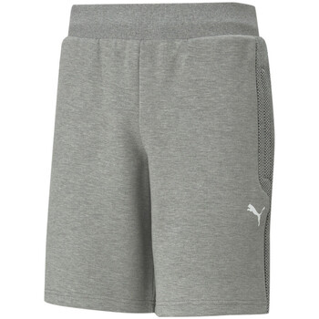 Vêtements Homme Shorts / Bermudas Puma 599523-03 Gris