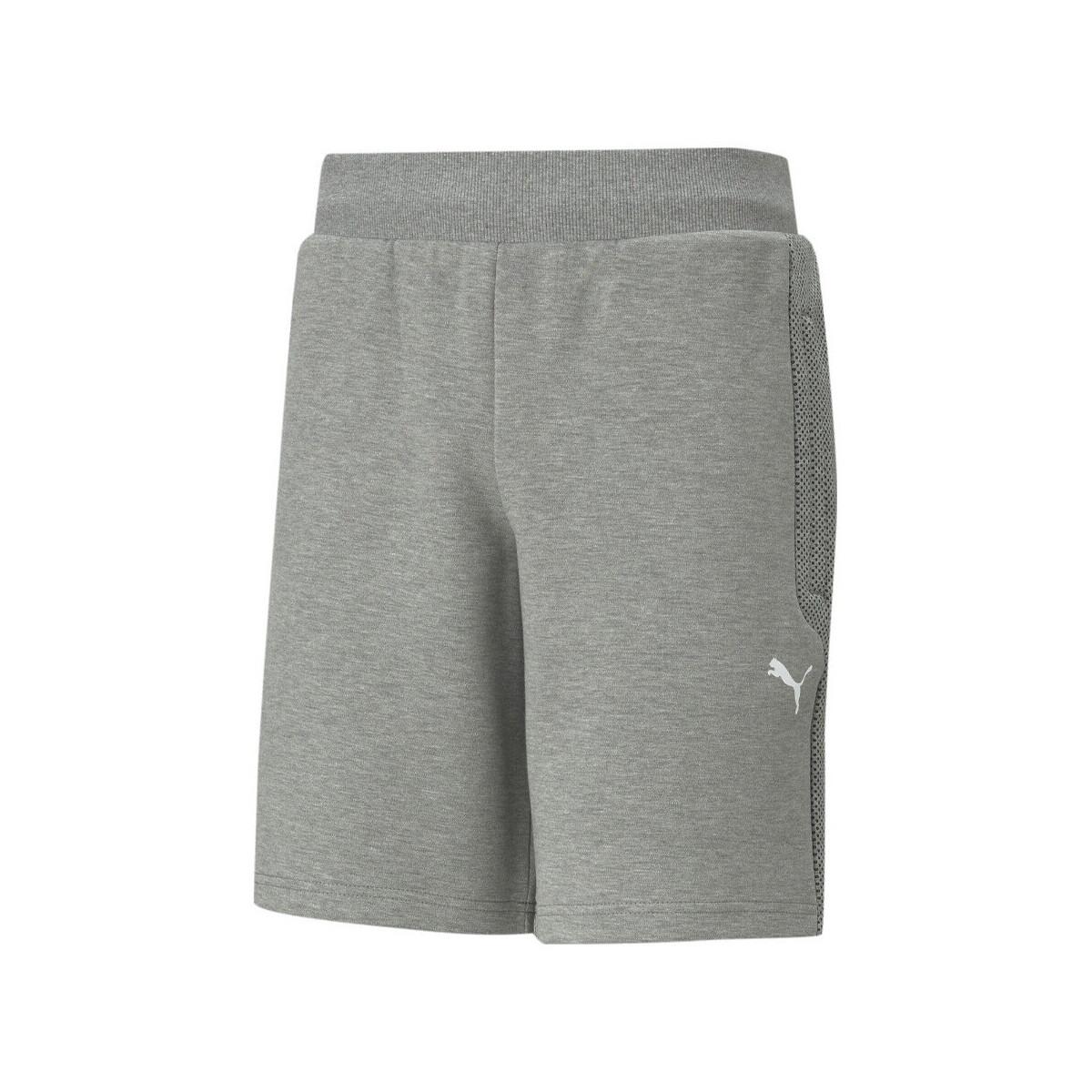 Vêtements Homme Shorts / Bermudas Puma 599523-03 Gris