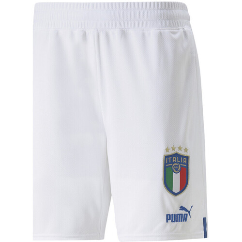 Vêtements Homme Bleu Shorts / Bermudas Puma 765668-08 Blanc