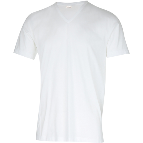 Vêtements Homme Slip Taille Haute Fermée Eminence T-shirt col V Coton d'Egypte Blanc