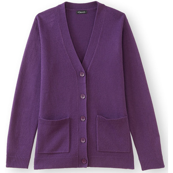 Vêtements Femme Bergans W Finnsnes Fleece Jacket Daxon by  - Gilet classique manches longues Violet