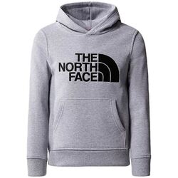 Vêtements Enfant Sweats The North Face Pull Drew Peak Hoodie Junior Light Grey Heather Gris