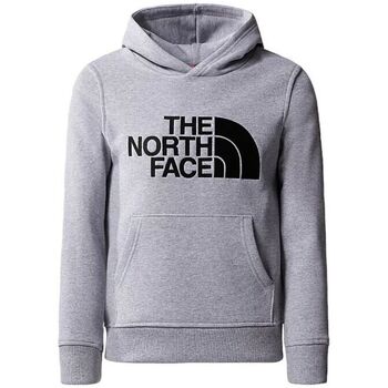 Vêtements Enfant Sweats The North Face Pull Drew Peak Hoodie Junior Light Grey Heather Gris