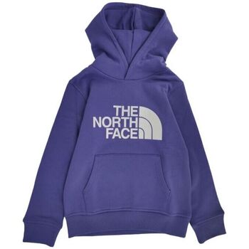Vêtements Enfant Sweats The North Face Pull Drew Peak Hoodie Junior Cave Blue Bleu
