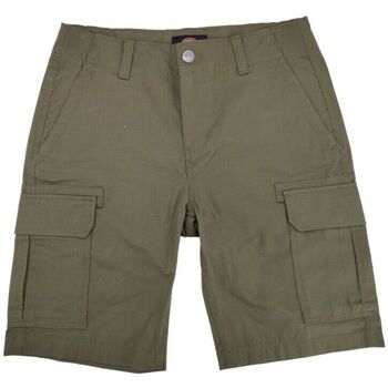 Vêtements Homme Shorts / Bermudas Dickies New Balance Nume Military Green Vert