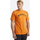 Vêtements Homme Débardeurs / T-shirts sans manche Nautica Trent Orange