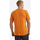 Vêtements Homme Débardeurs / T-shirts sans manche Nautica Trent Orange