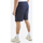 Vêtements Homme Shorts / Bermudas Nautica Locust Fleece Bleu