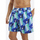 Vêtements Homme Winter Shorts / Bermudas Nautica Nixon 6 Multicolore