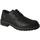 Chaussures Homme Derbies & Richelieu IgI&CO  Noir