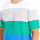 Vêtements Homme T-shirts manches courtes La Martina TMR009-JS303-M1079 Blanc