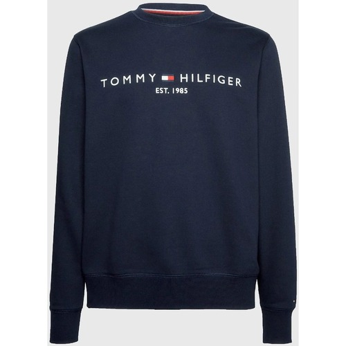 Vêtements Homme Sweats Tommy Hilfiger MW0MW11596 Bleu