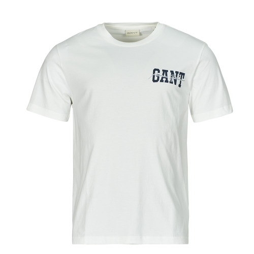 Vêtements Homme T-shirts manches courtes Gant ARCH SCRIPT SS T-shirt logo-print Blanc