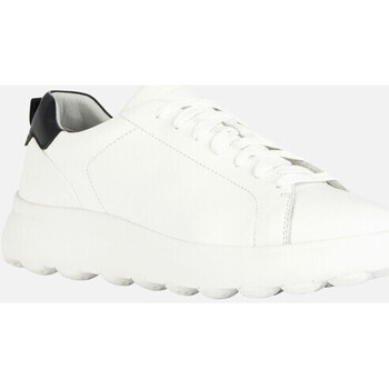 Chaussures Homme Baskets mode Geox U SPHERICA EC4.1 Blanc