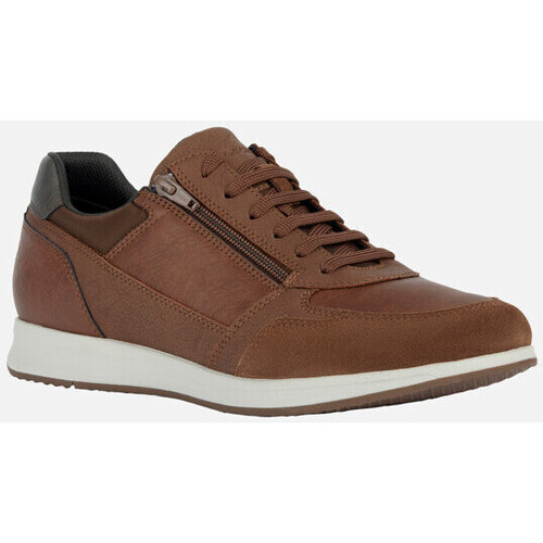 Chaussures Homme Baskets mode Geox U AVERY Marron