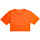 Vêtements Femme Débardeurs / T-shirts sans manche Roxy Essential Orange