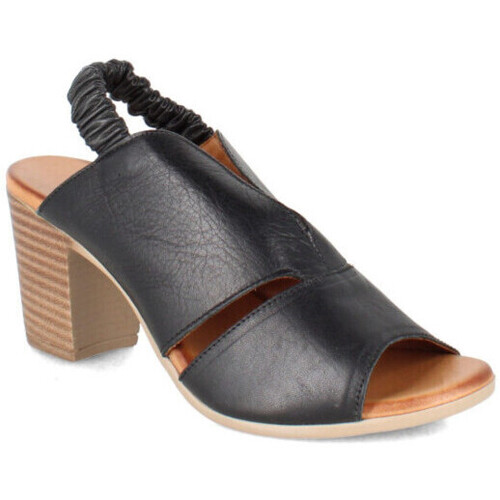 Chaussures Femme Sandales et Nu-pieds Coco & Abricot millam Noir