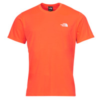 Vêtements Homme T-shirts manches courtes New Balance Hoodie met logo op de rug in grijs REDBOX Orange