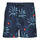 Vêtements Homme Maillots / Shorts de bain Billabong VACAY LB Marine