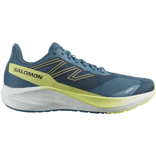 Chaussures Homme Running / trail Salomon  Bleu