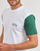 Vêtements Homme T-shirts manches courtes Vans COLORBLOCK VARSITY SS TEE Blanc