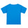Vêtements Garçon T-shirts manches courtes Grape Puma TEAMRISE MATCH DAY Bleu