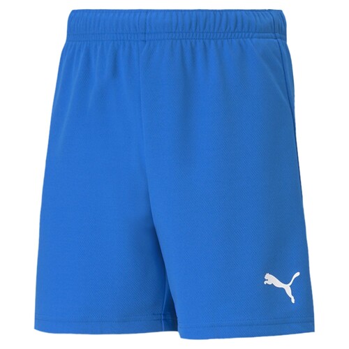 Vêtements Garçon Shorts / Bermudas Puma Shiny TEAMRISE SHORT Bleu