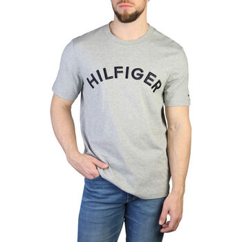 Vêtements Homme T-shirts manches courtes Tommy Hilfiger - mw0mw30055 Gris
