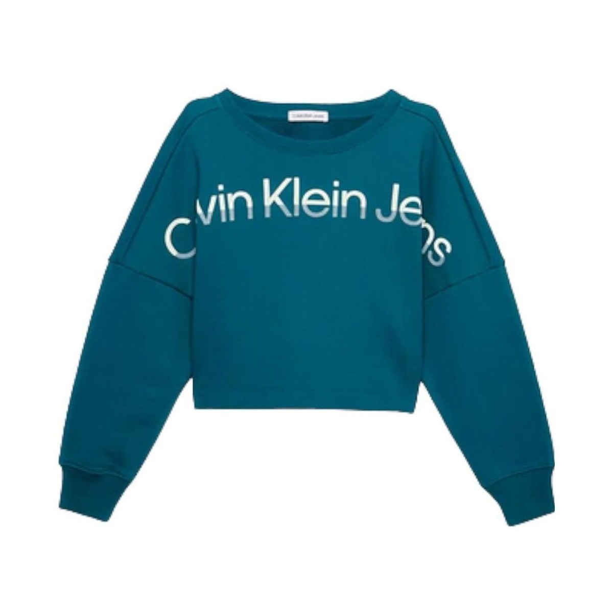 Vêtements Fille Sweats Calvin Klein Jeans  Vert