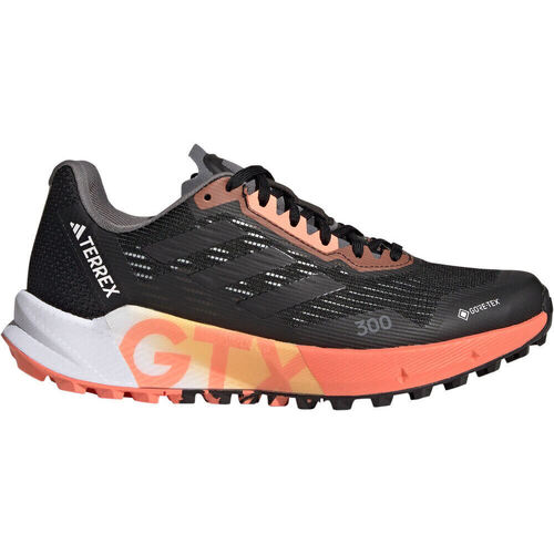 Chaussures Femme Running GINO / trail adidas Originals TERREX AGRAVIC FLOW 2 GTX W Noir