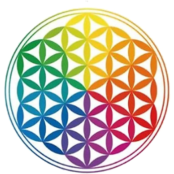 Maison & Déco Stickers Phoenix Import Sticker pour Fenêtres Fleur de vie Multicolore