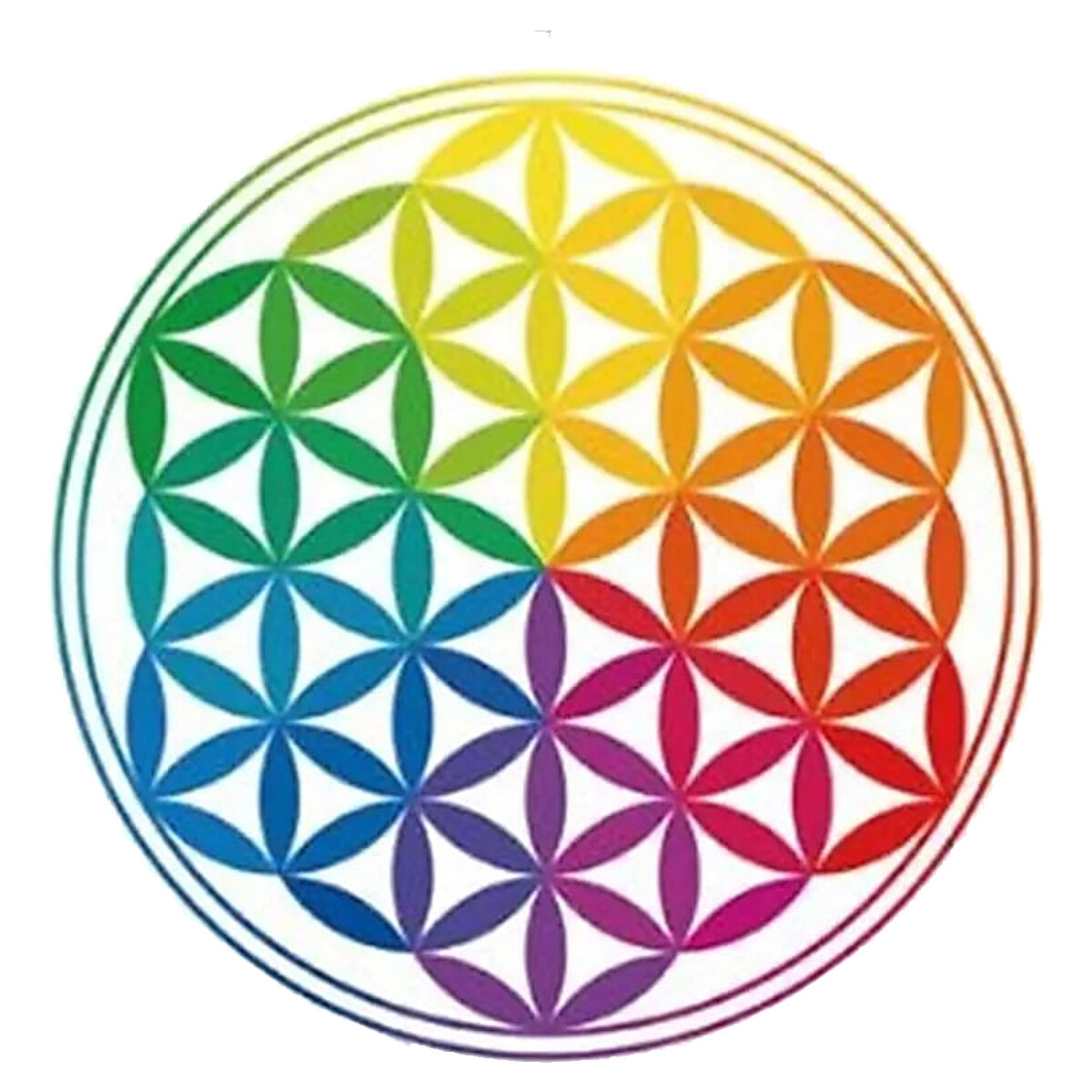 Maison & Déco Stickers Phoenix Import Sticker pour Fenêtres Fleur de vie Multicolore