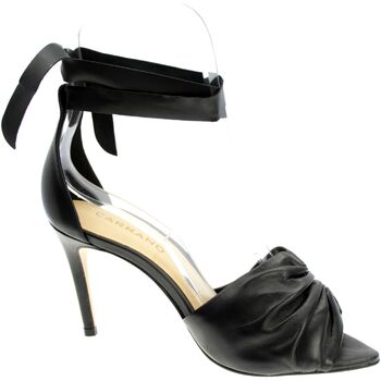 Chaussures Femme Sandales et Nu-pieds Carrano 459846 Noir